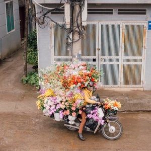 Meet your Posher, Alex